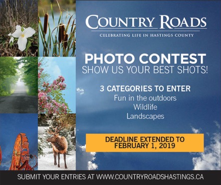 PhotoContestFall2018.jpeg