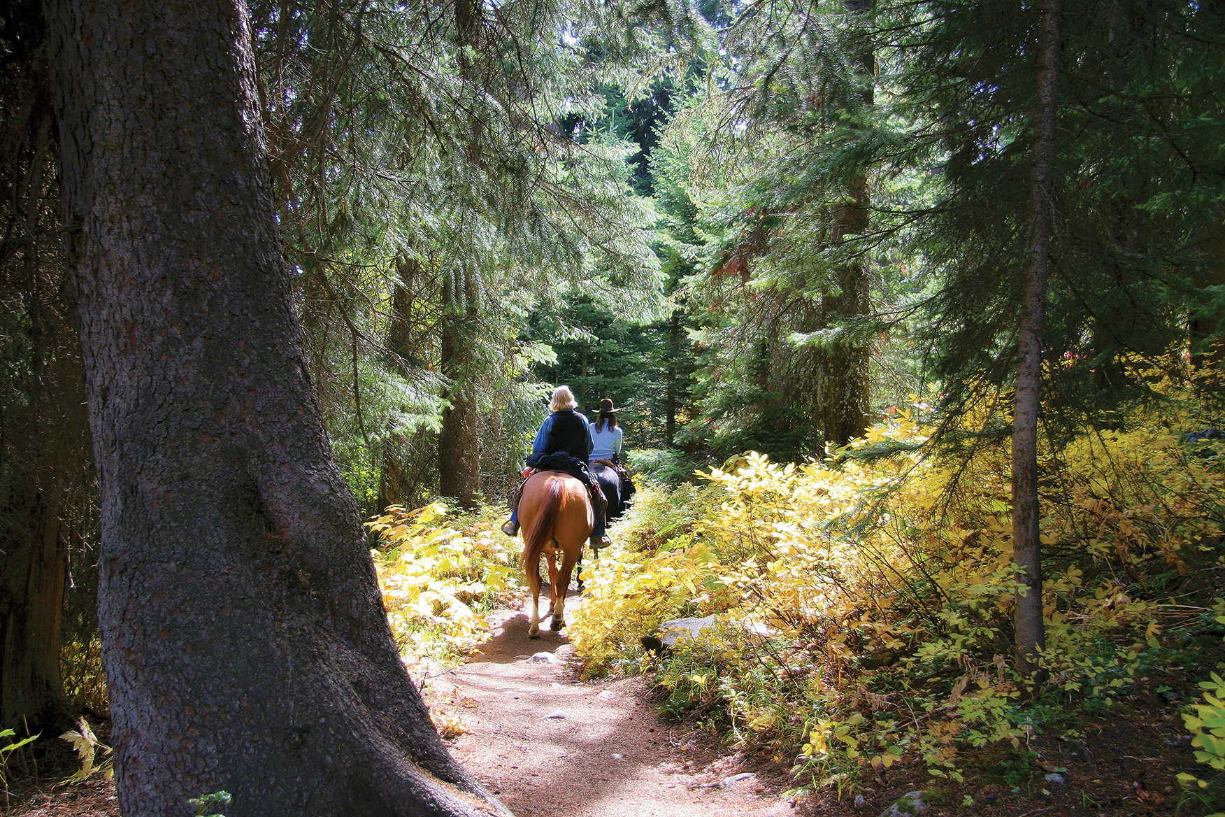 Many people connect with nature by riding horseback through the Heritage Trail. Photo courtesy Eastern Ontario Trails Alliance.