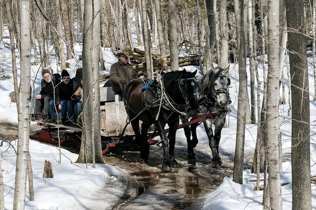 Visitors to the O’Hara site enjoy a horse-drawn sleigh ride. Photo courtesy O’Hara Mill Homestead & Conservation Area.