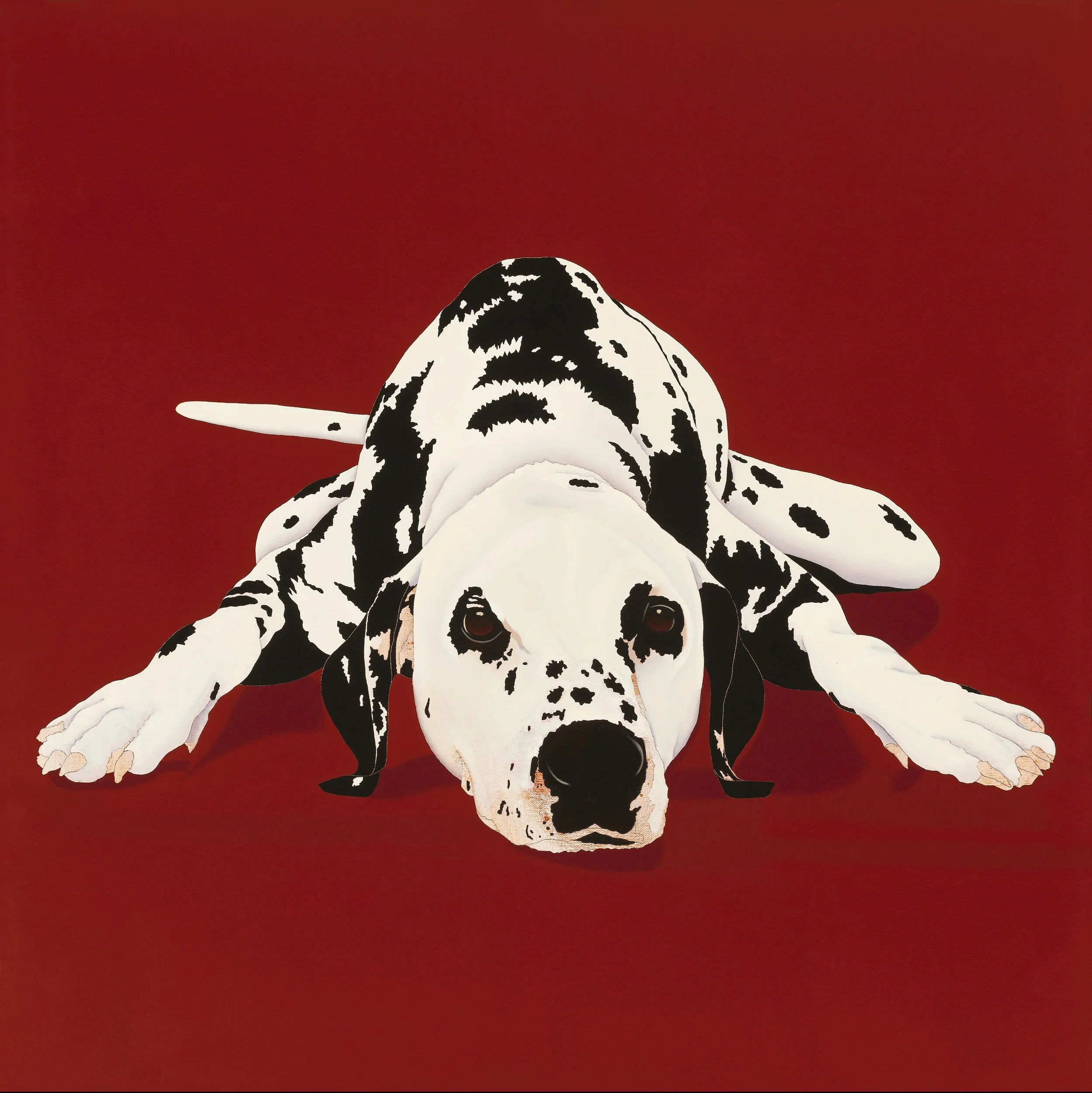 Dot