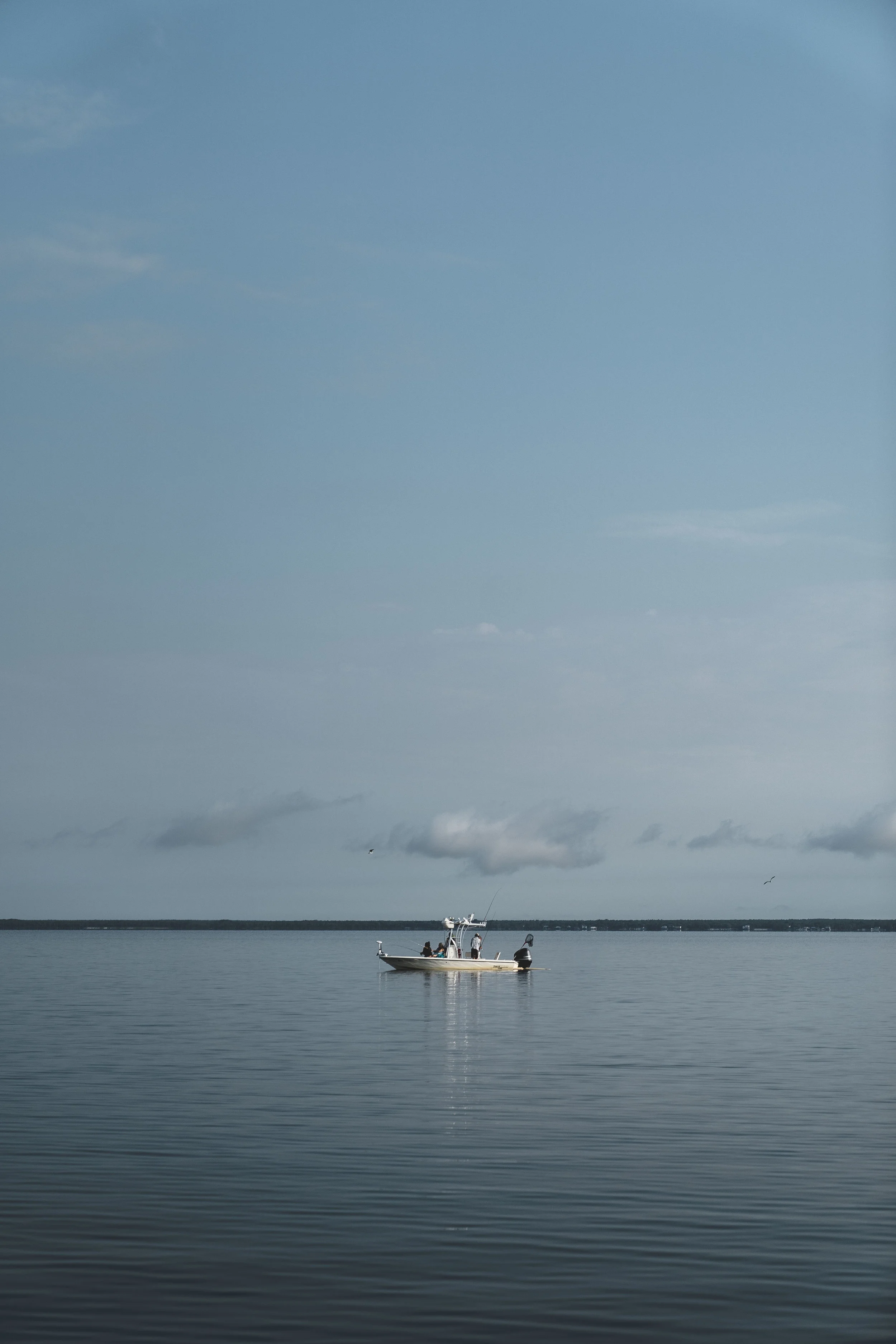 Florida2018_fish-35.jpg
