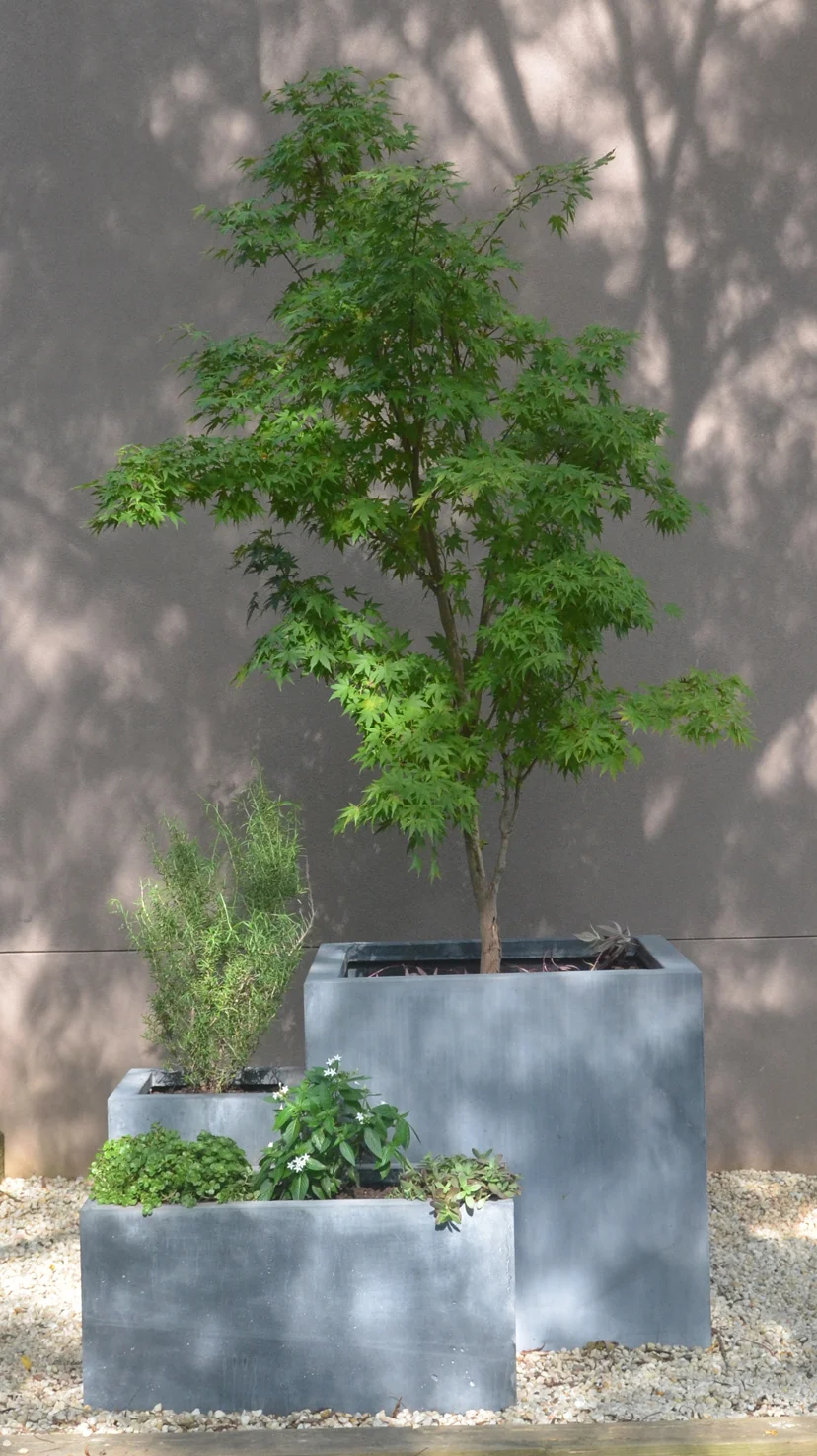 WEBSITE PARTERRE.jpg