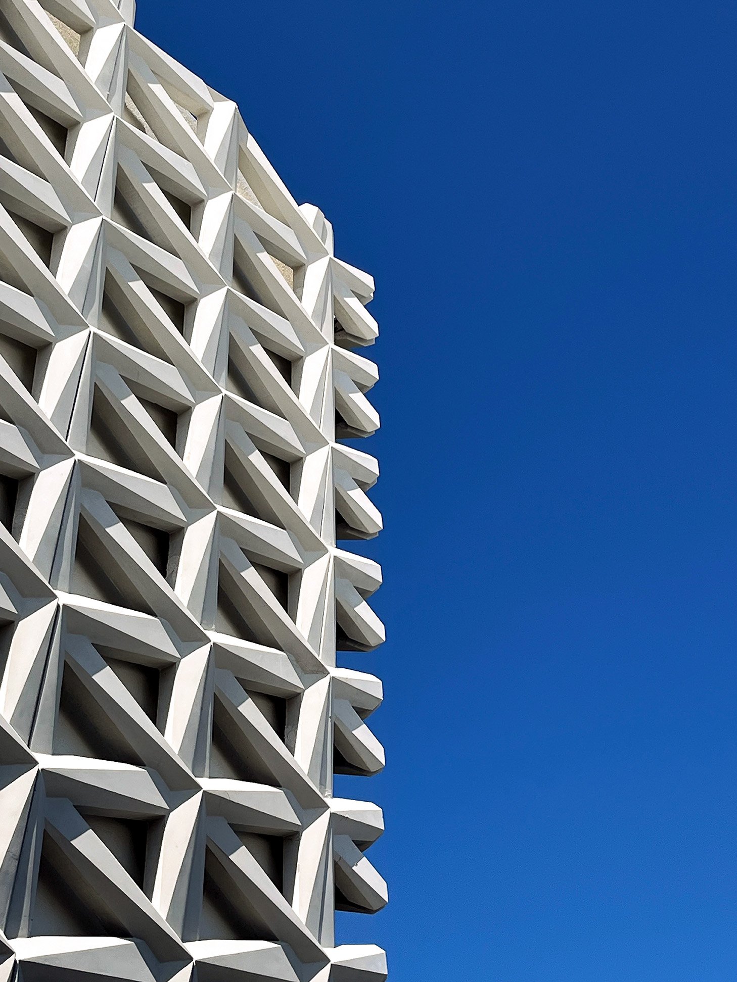 stelian photo (1).jpg