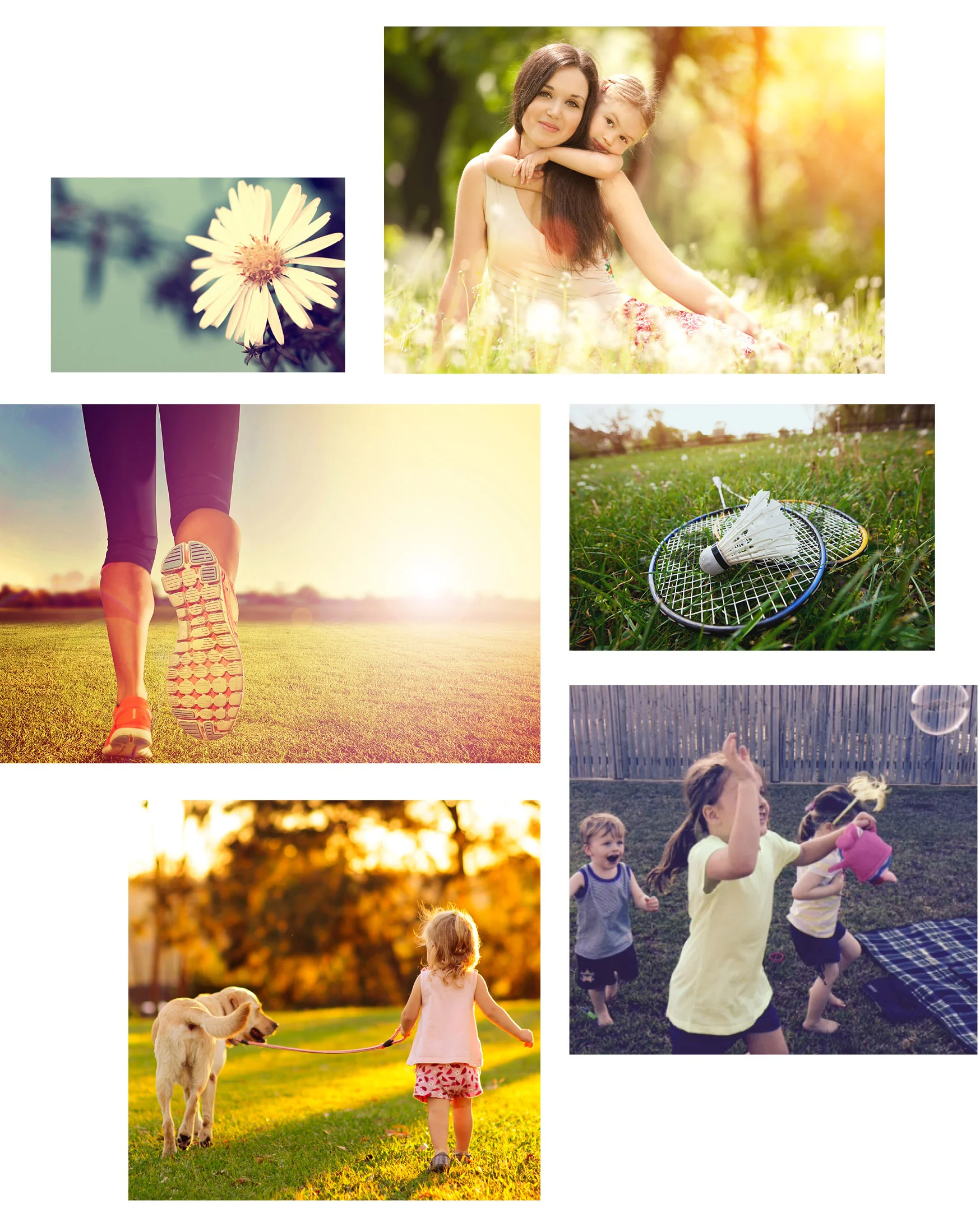 shutterstock_186326273.jpg