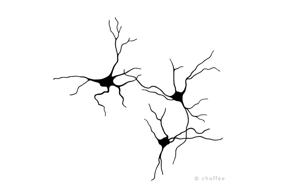 18_chaffee-neuron-3.png