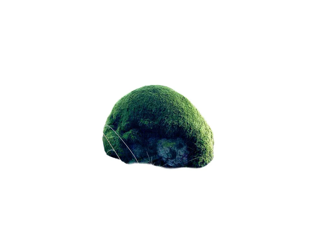 261004_fllc-bewith-moss-c.jpg