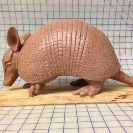 armadillo-8.jpg