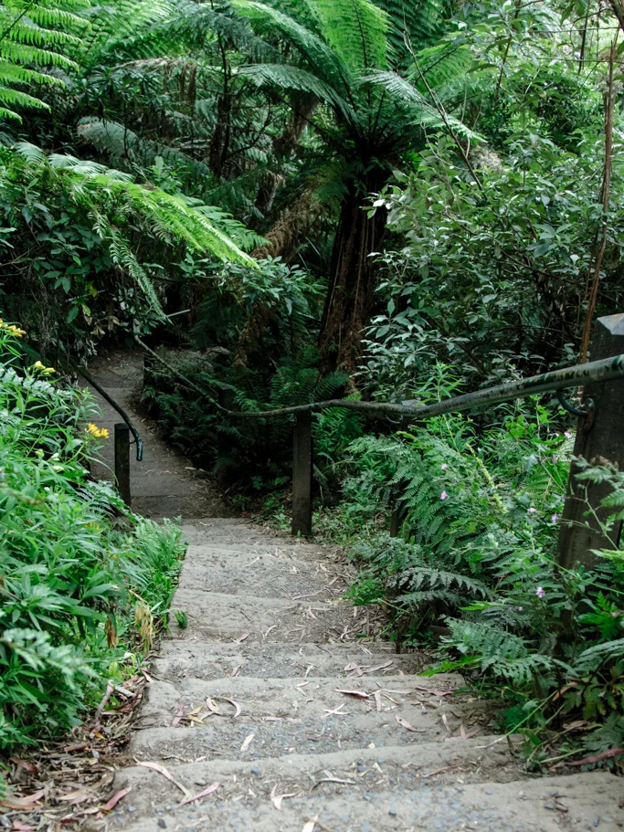 45 Stairs.jpg