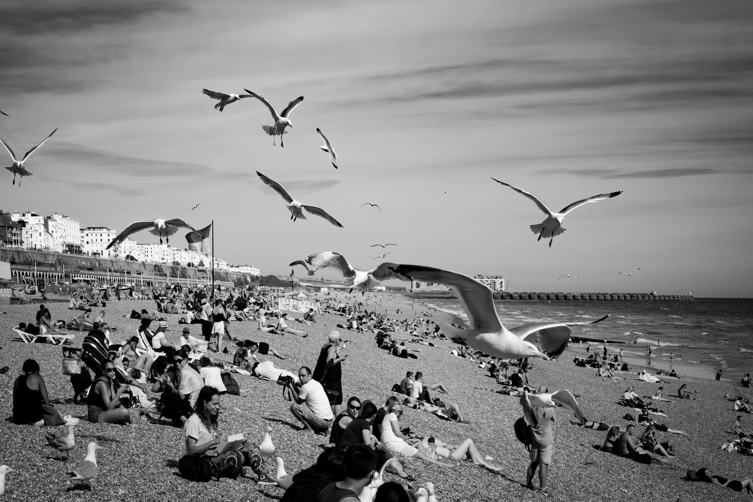 Brighton-1.jpg