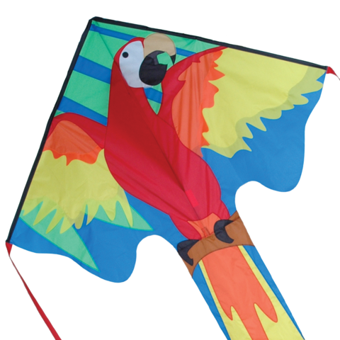 44268p_Macaw-zoom_large.png