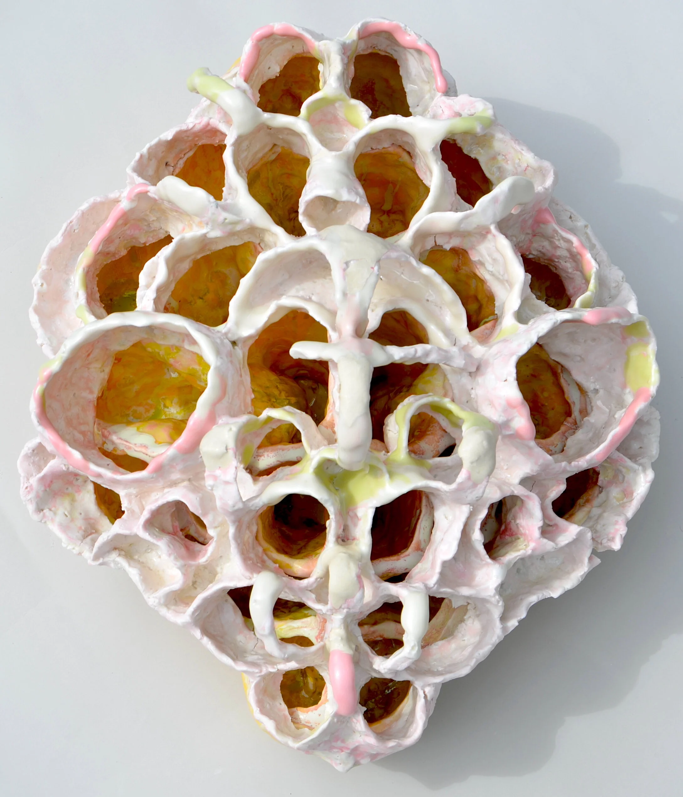 Rib Cage Shell 1.JPG