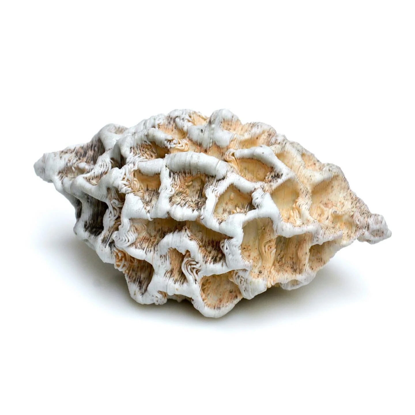 Soda fired 3D printed porcelain made in Denmark while at the Guldagergaard International Ceramics Research Centre.