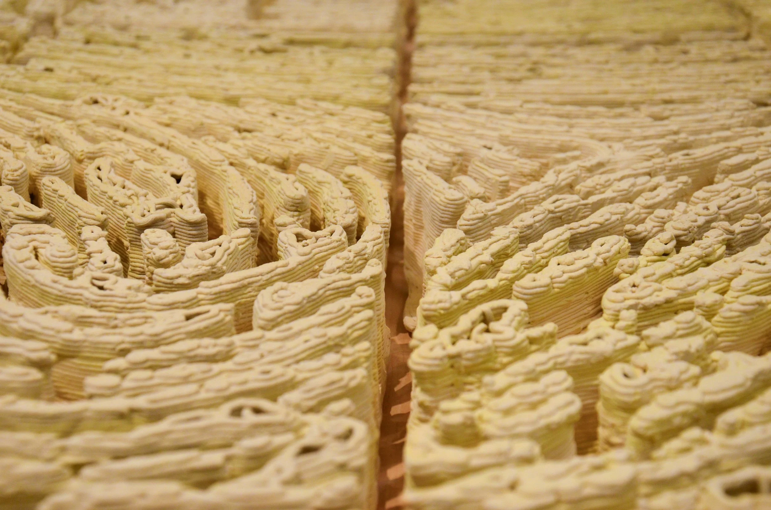 FingerPrint Deatil1.jpg