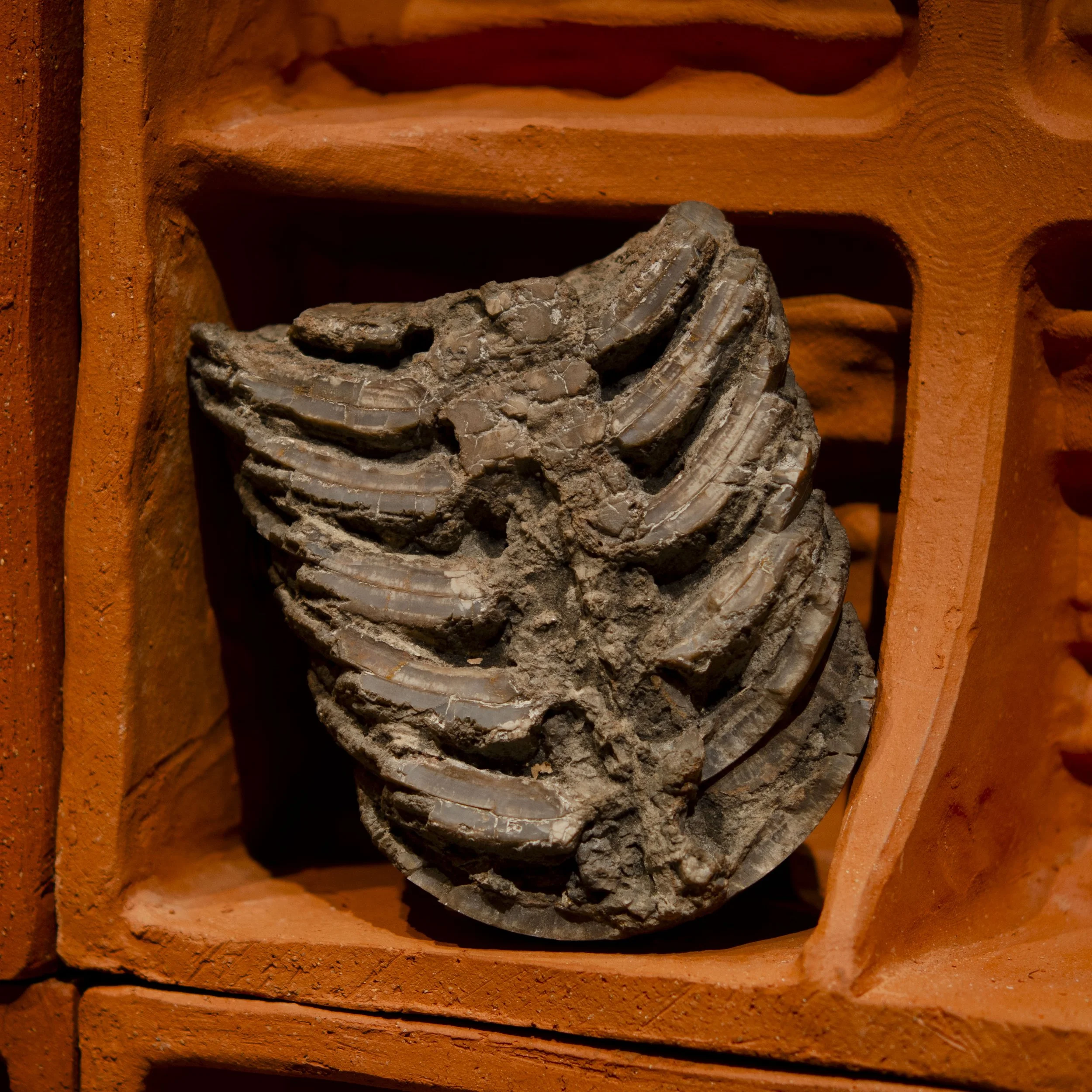 Spiralobject_14.jpg