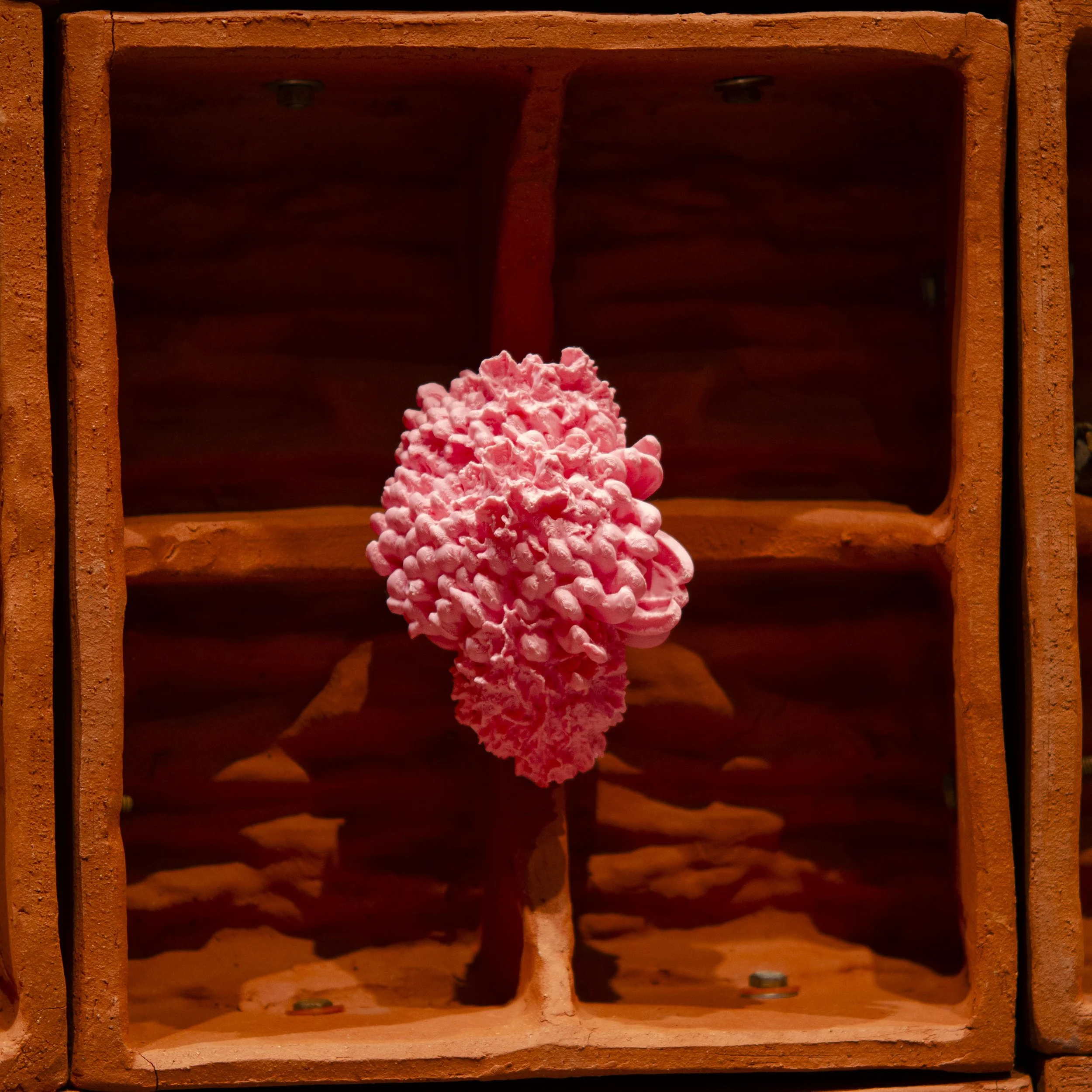 berryerin_10.jpg