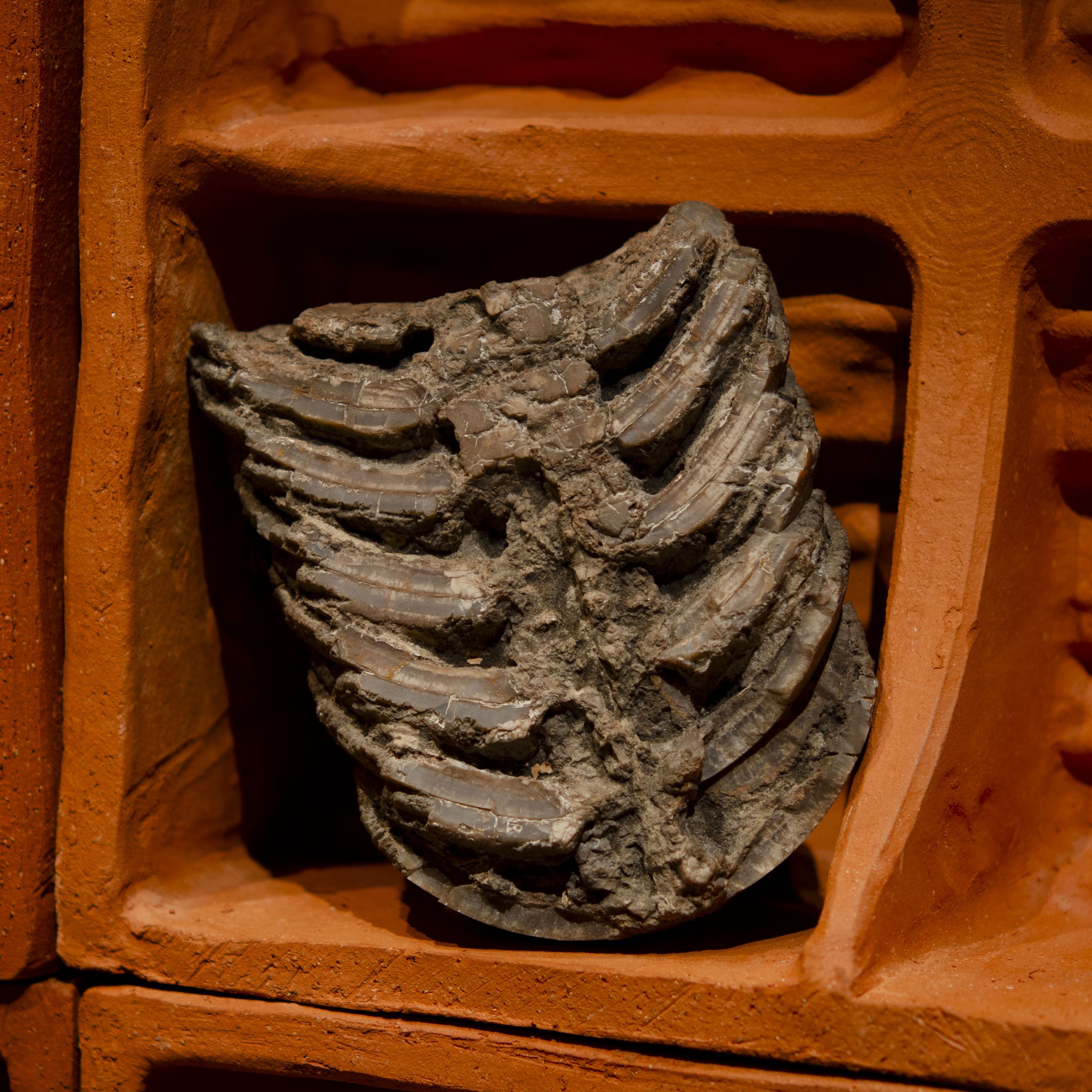 Spiralobject68.jpg