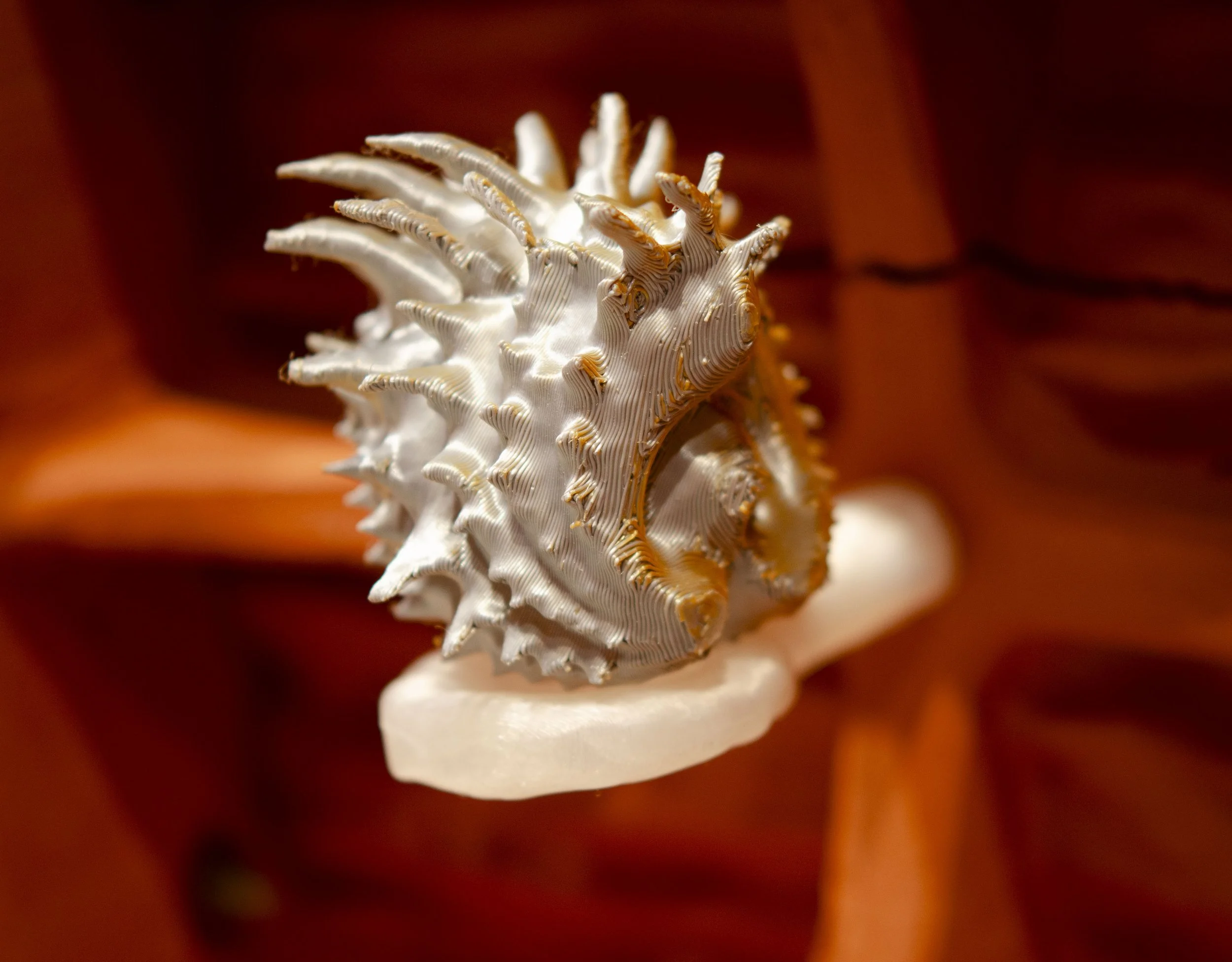 Spiralobject43.jpg