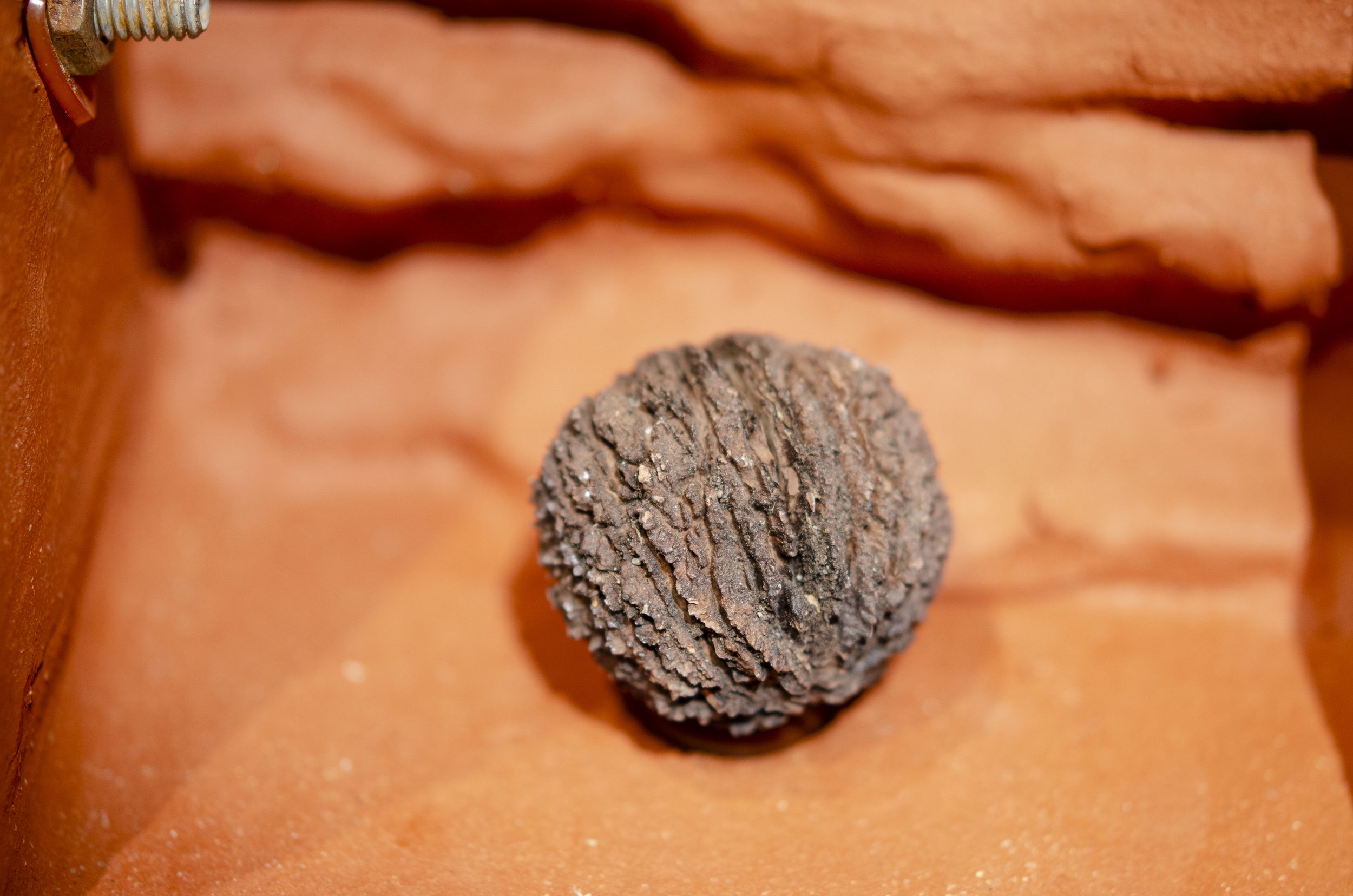 Spiralobject30.jpg