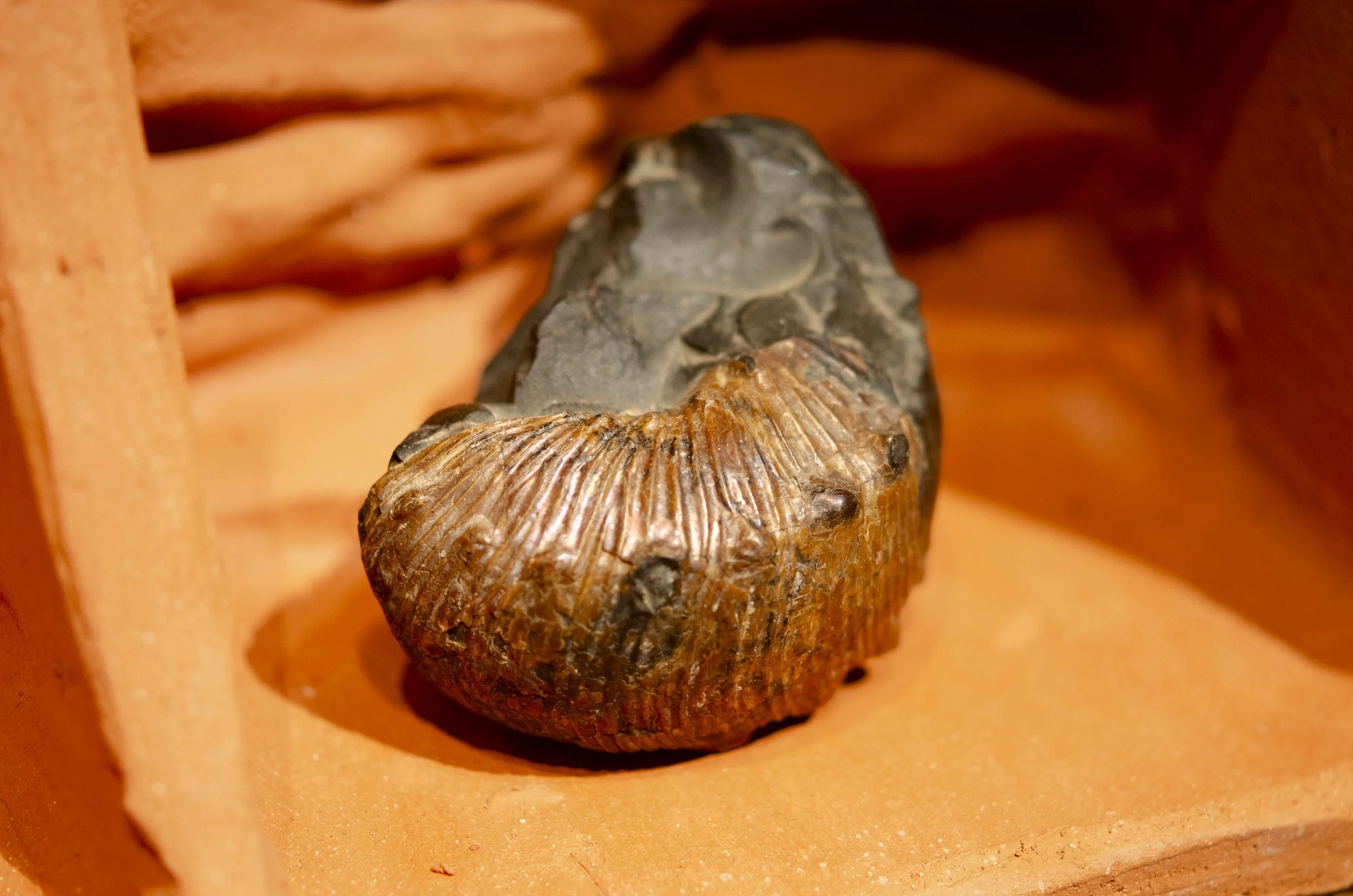 Spiralobject26.jpg