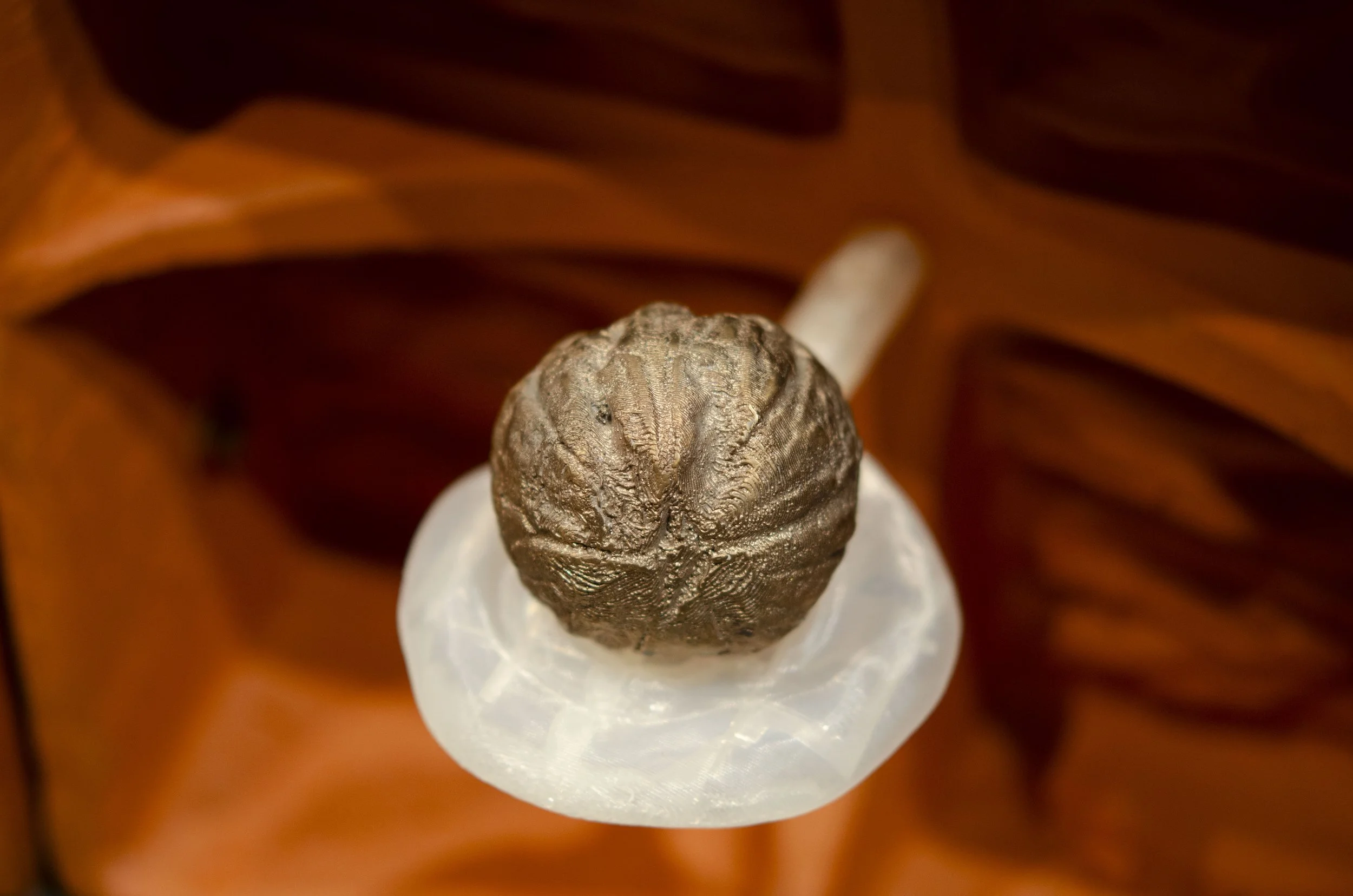 Spiralobject8.jpg