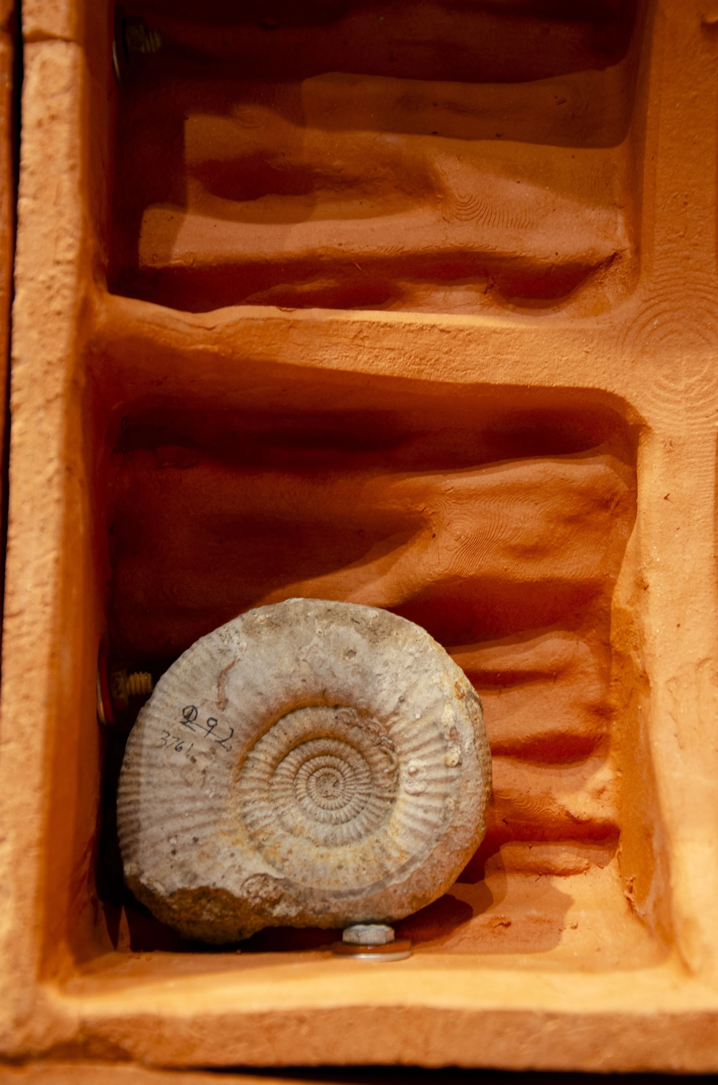 Spiralobject1.jpg