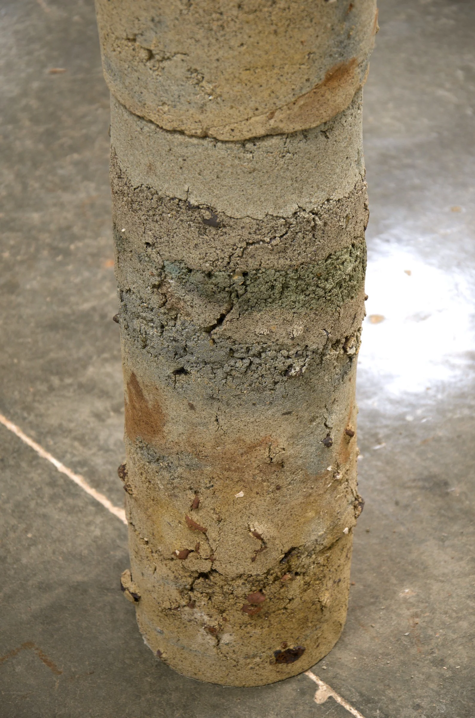Homunculus Column Detail 1 copy.jpg