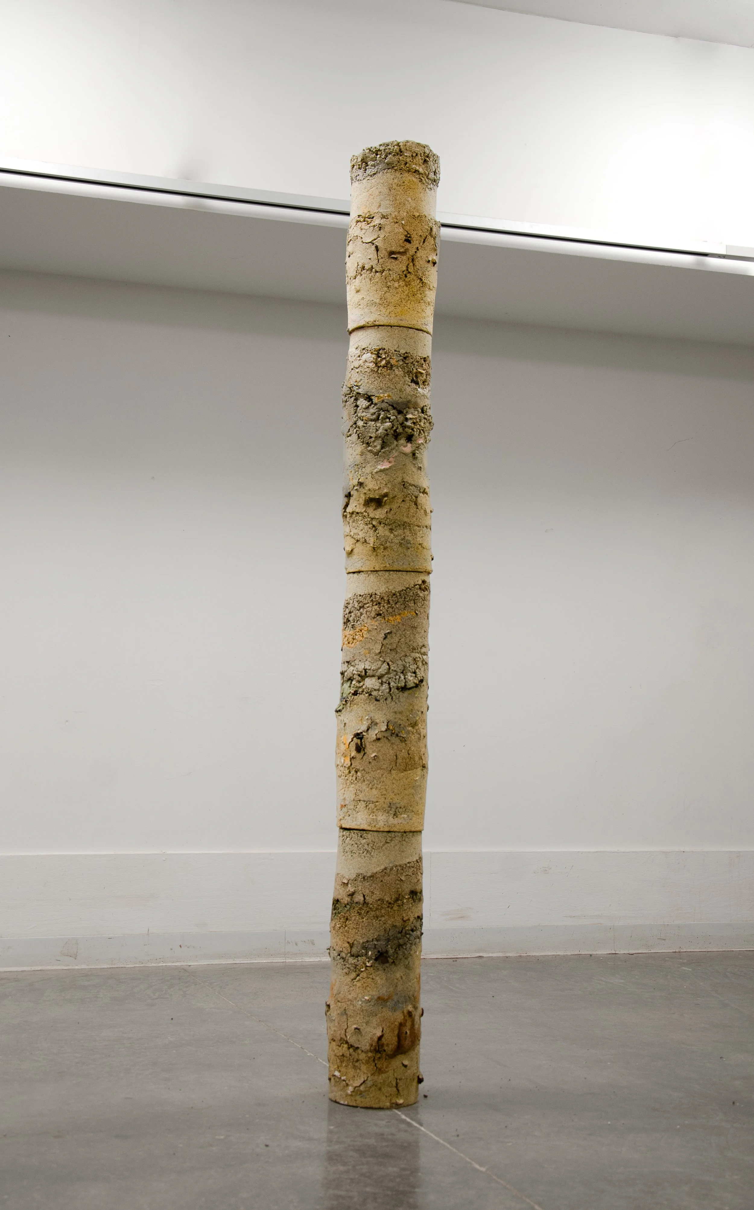 Homunculus Column copy.jpg