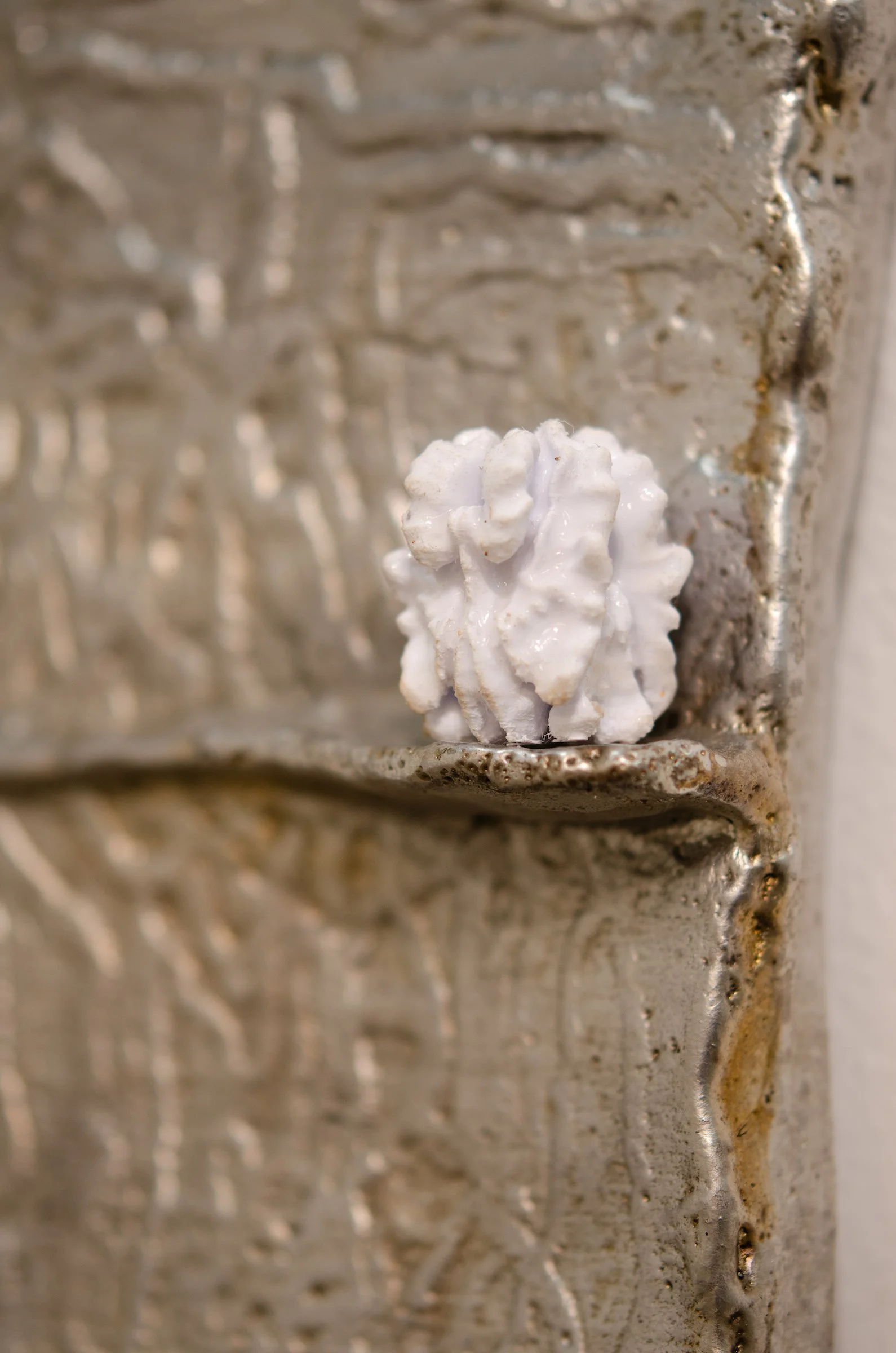 Conjunction Walnut Detail.jpg