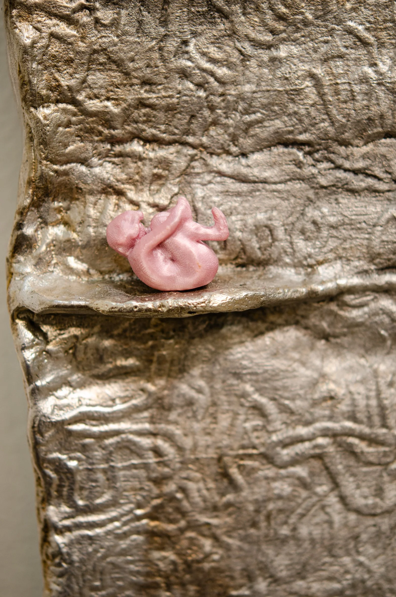 Conjunction Fetal Position Detail.jpg