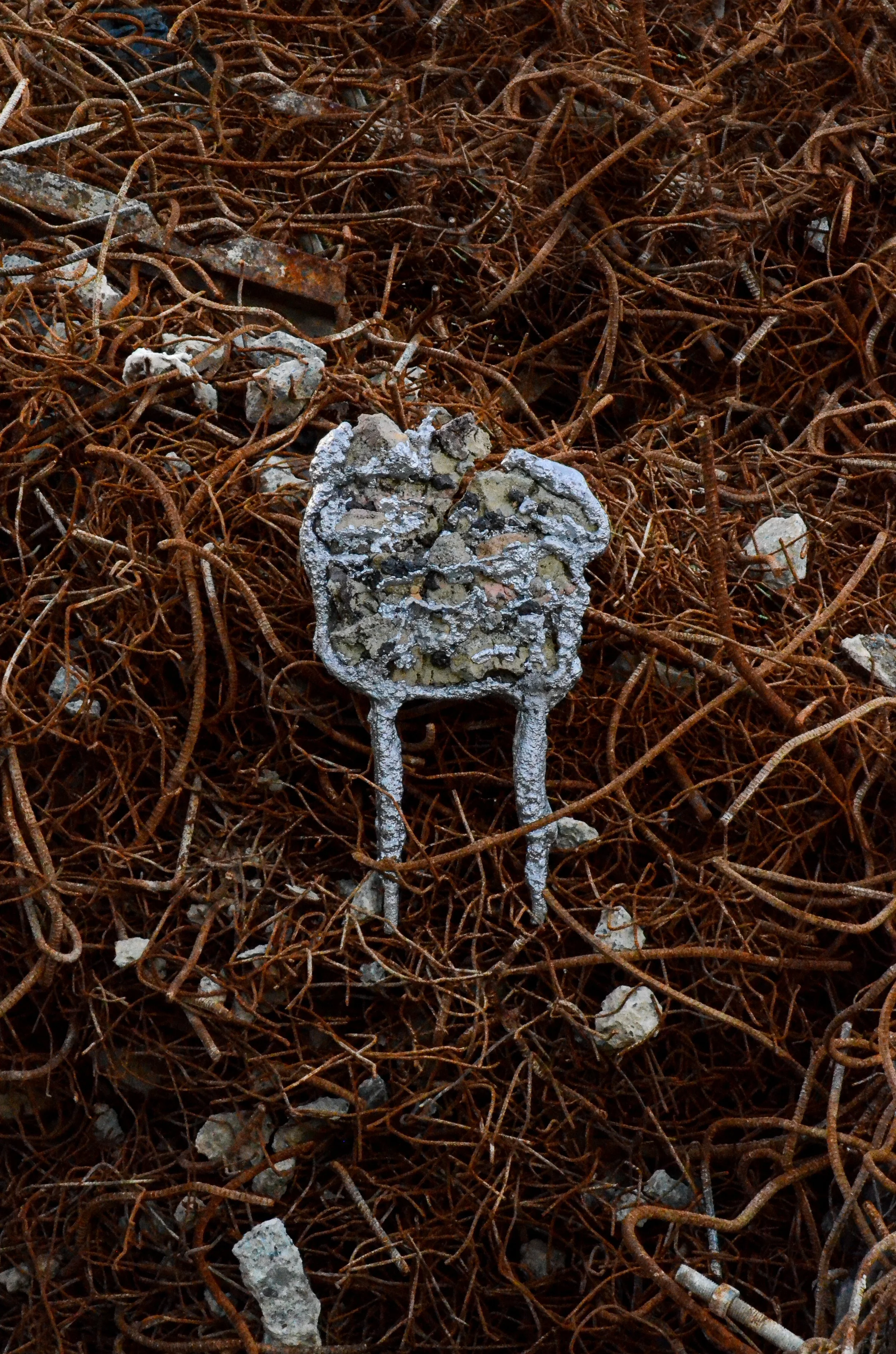 Rebar.Tumbleweed.Realestate.Sign.jpg