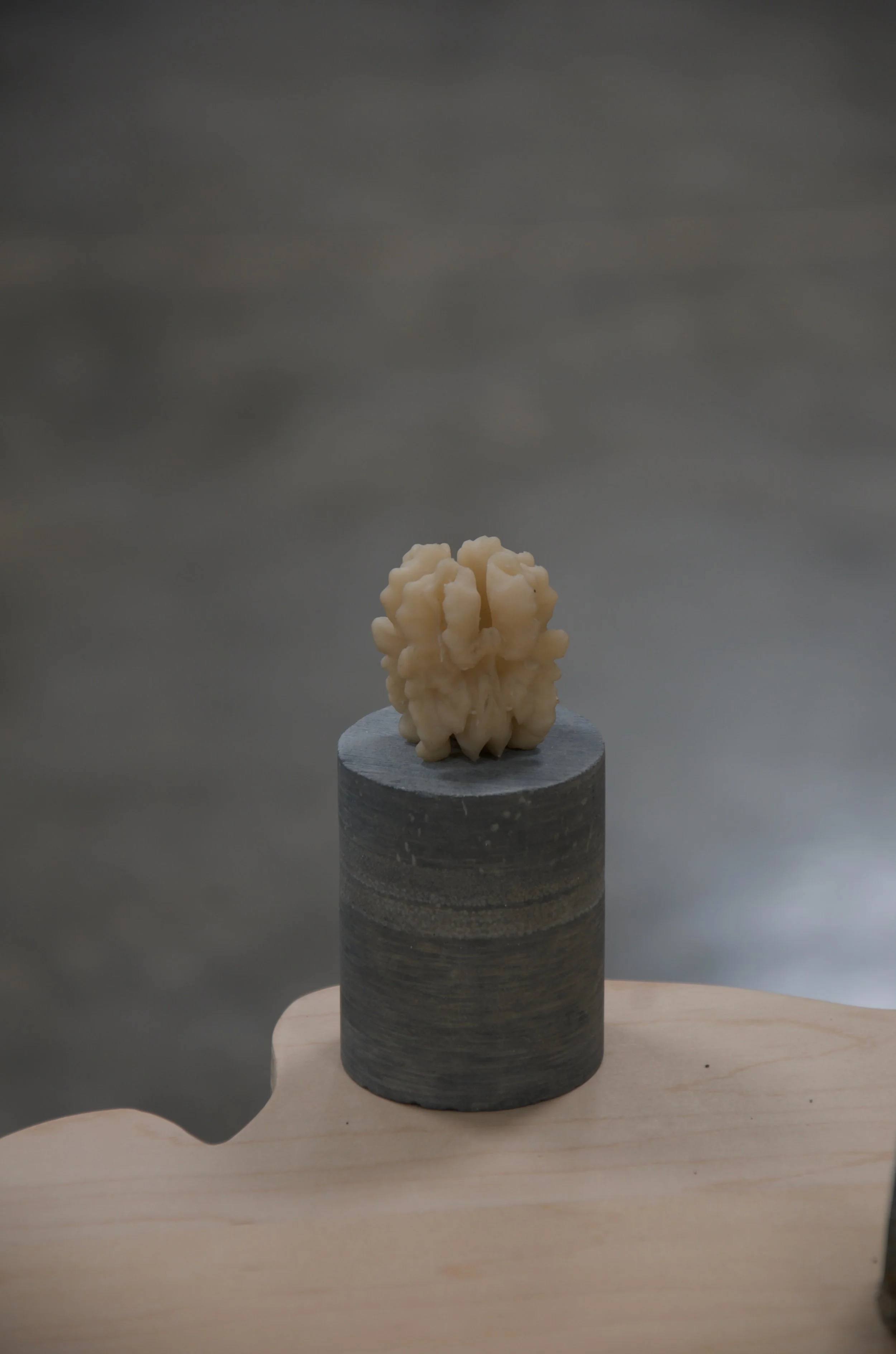 _DSC0653.jpeg