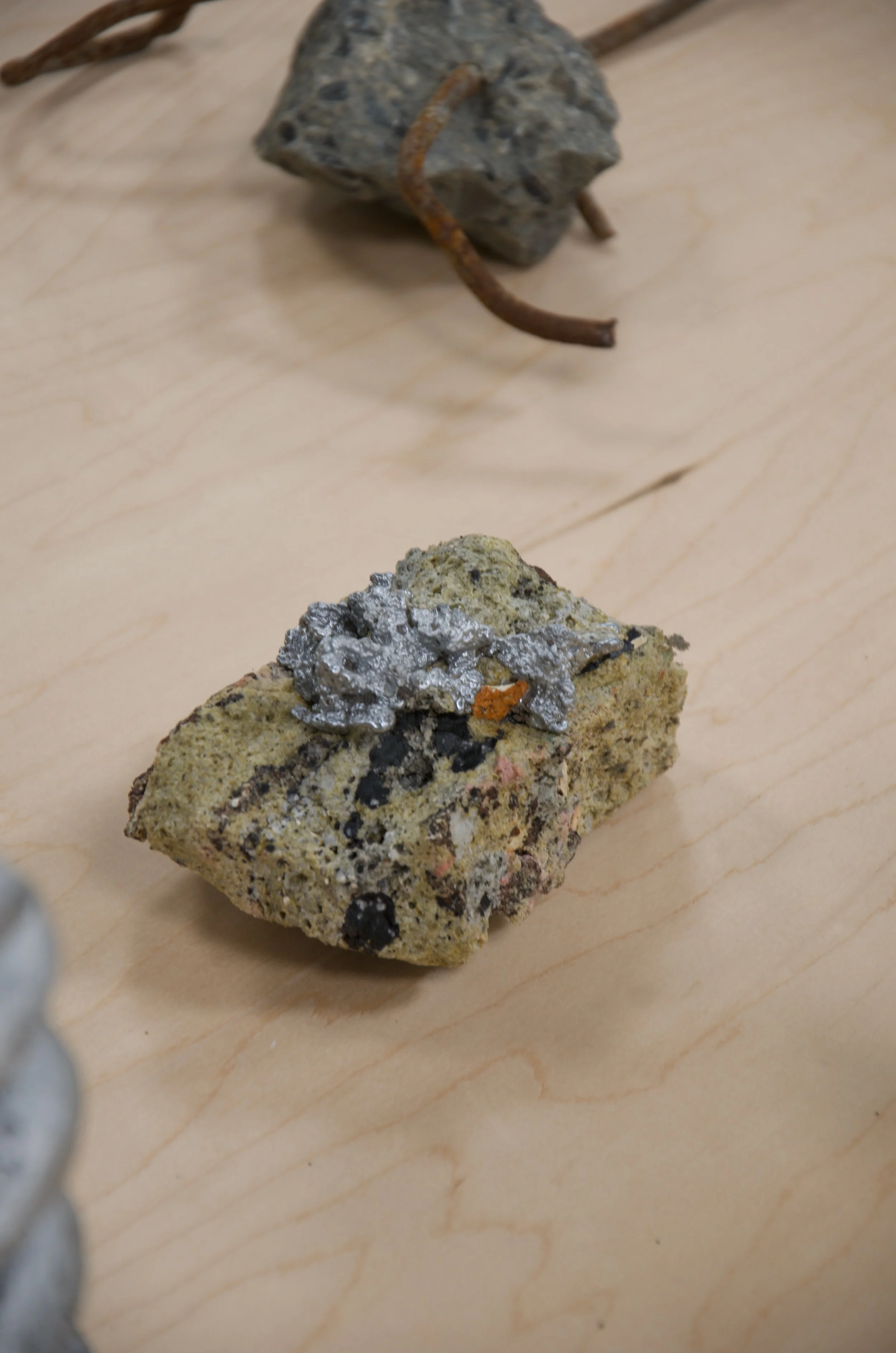 _DSC0673.jpeg