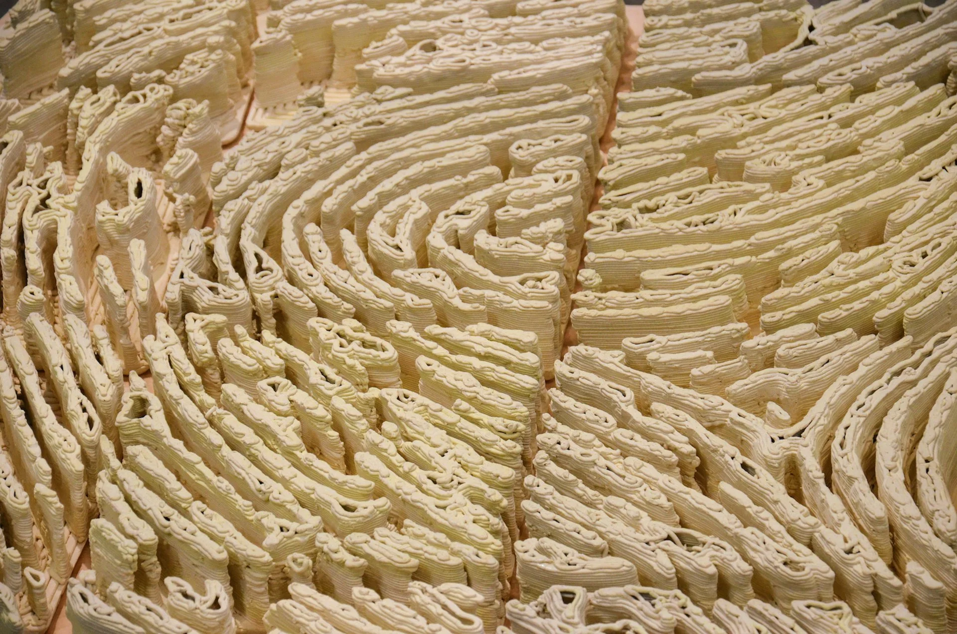 02.berryerin06LabyrinthDetail copy.jpg
