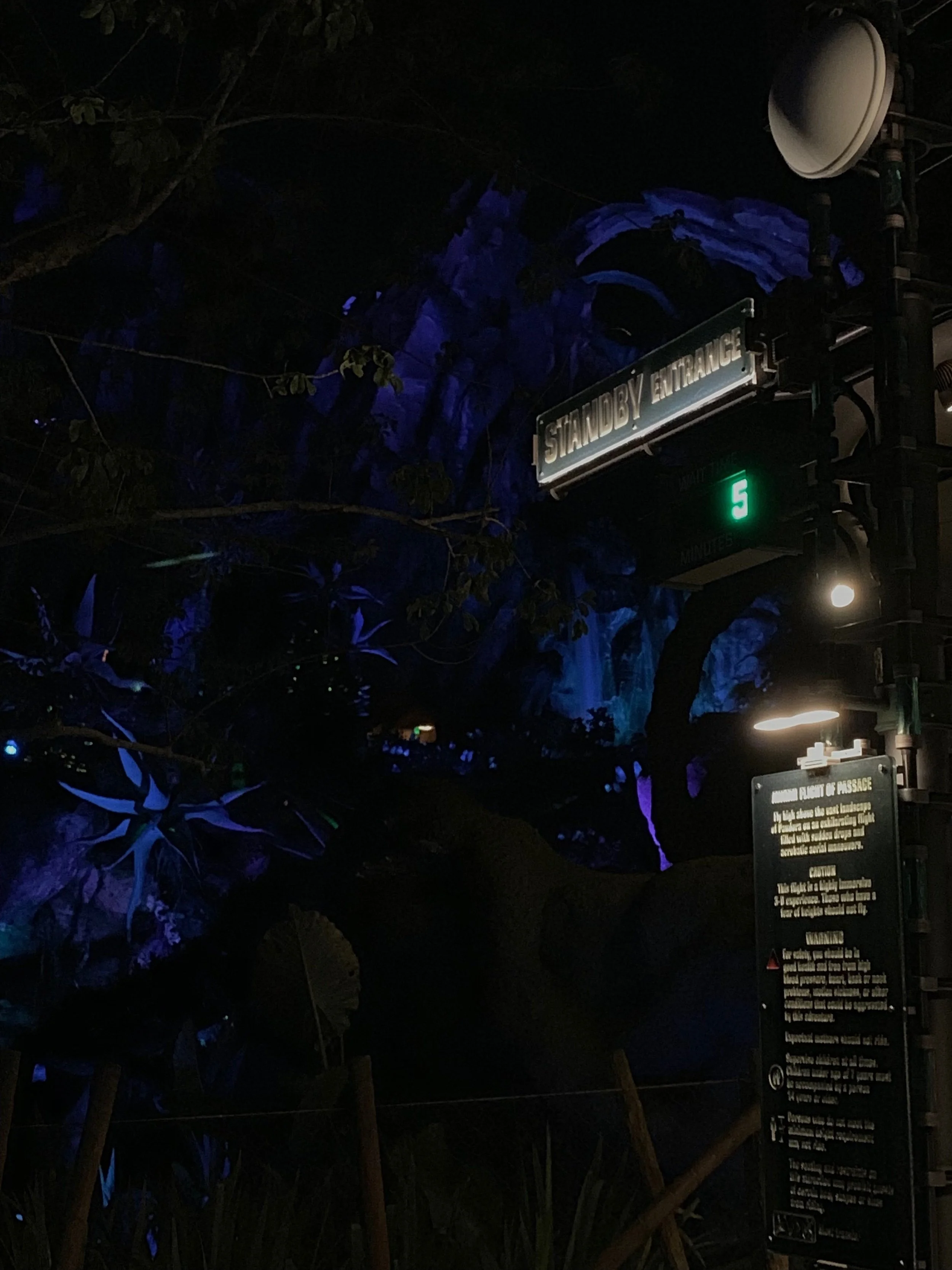 A beautiful sight to see - a five minute wait at Pandora’s Flight of Passage!