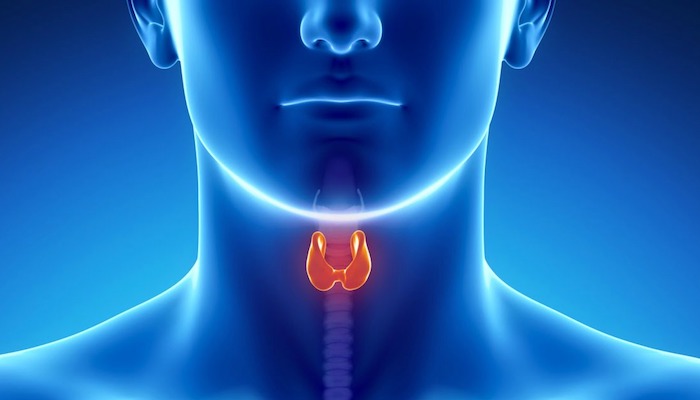 Thyroid health