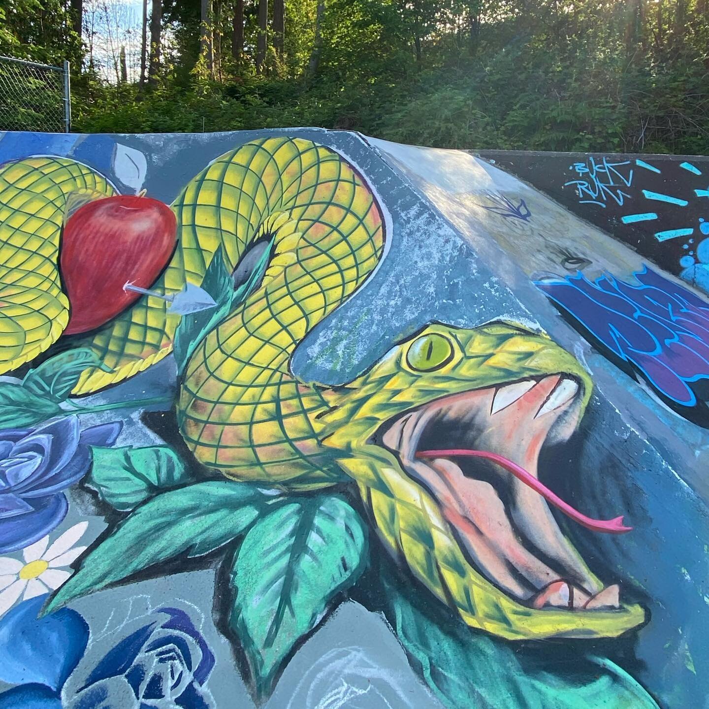 Ms. Gray&rsquo;s Graffiti Jam at the Sechelt Rotary Skatepark - to finish my teaching practicum I led a group of students to paint the skatepark by their school. It&rsquo;s been exceptional year and I am beyond grateful I could come home to the Sunsh