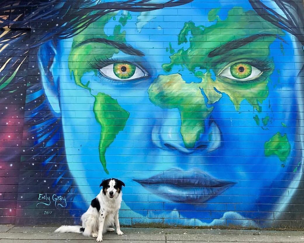 Scouty is right, Everyday is Earth Day! Listen People We are all connected and we are are in this together 💙💚🌎🌍🌏💚💙 Repost 📷 @whereisscouty #emilygrayart #earthday #earthday2019 #earth #mural #streetart #streetartdaily #yvr