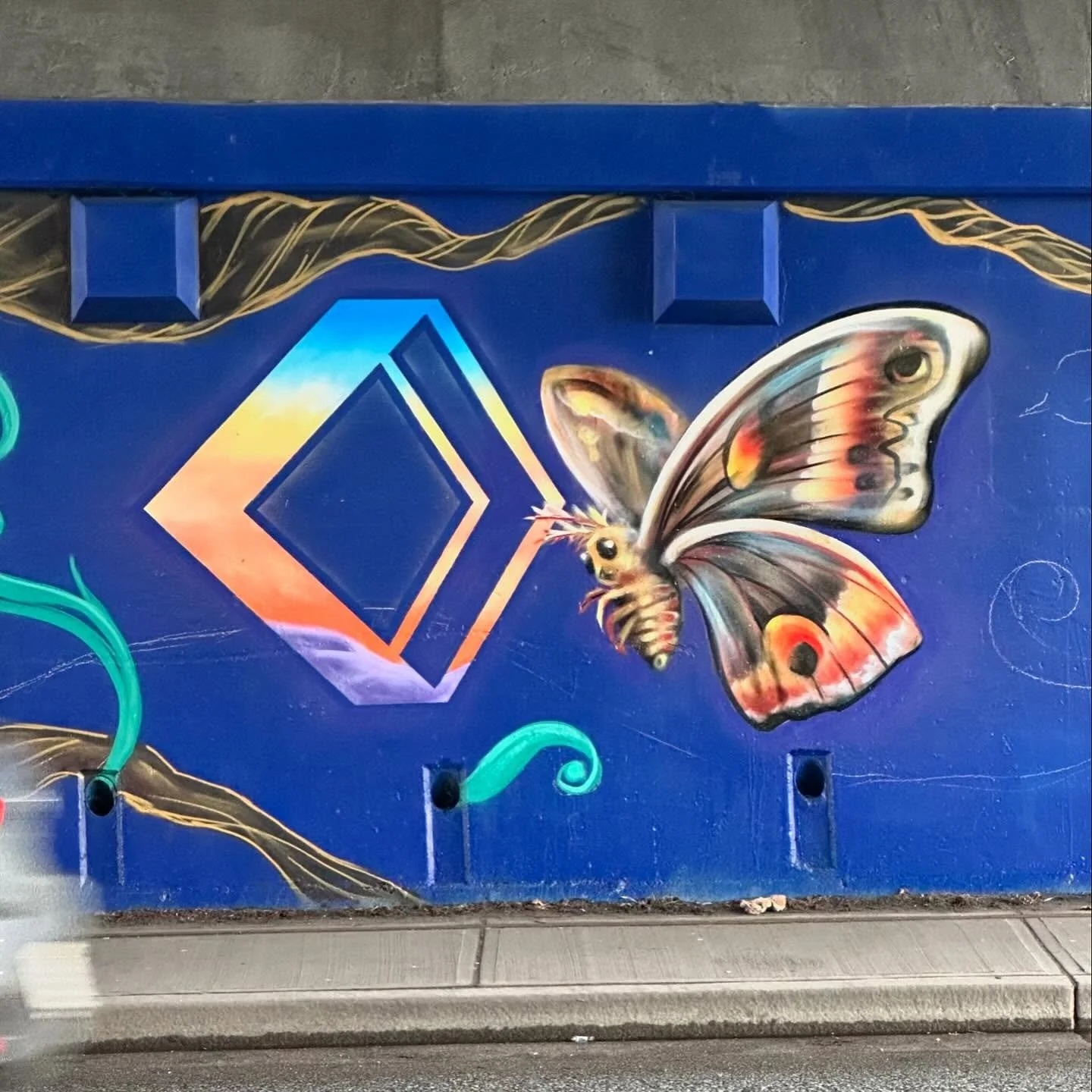 Wrapping up this mural and ready to wrap up the year! Thank you to city of Burnaby for sponsoring the project. The location is Still Creek Ave under Willington over-pass, on your way to Costco. ✨
✨
🌸
🦋
🌈
Spray paint has the ability to bring colour