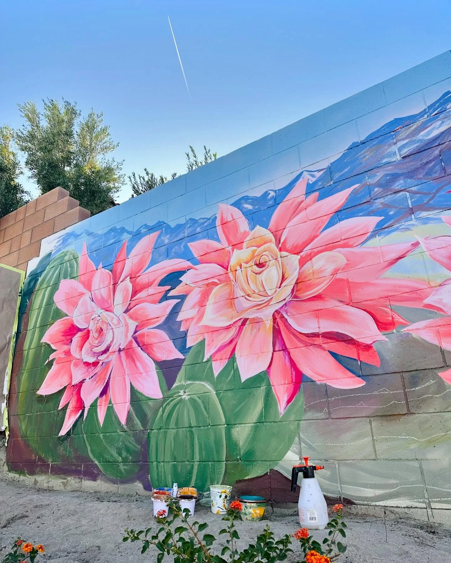 Ready to blast off! (Almost) A few more finishing touches and attempts to work on my tan 😎