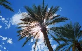 images-2.jpg