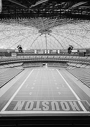 The Houston Astrodome Analogy