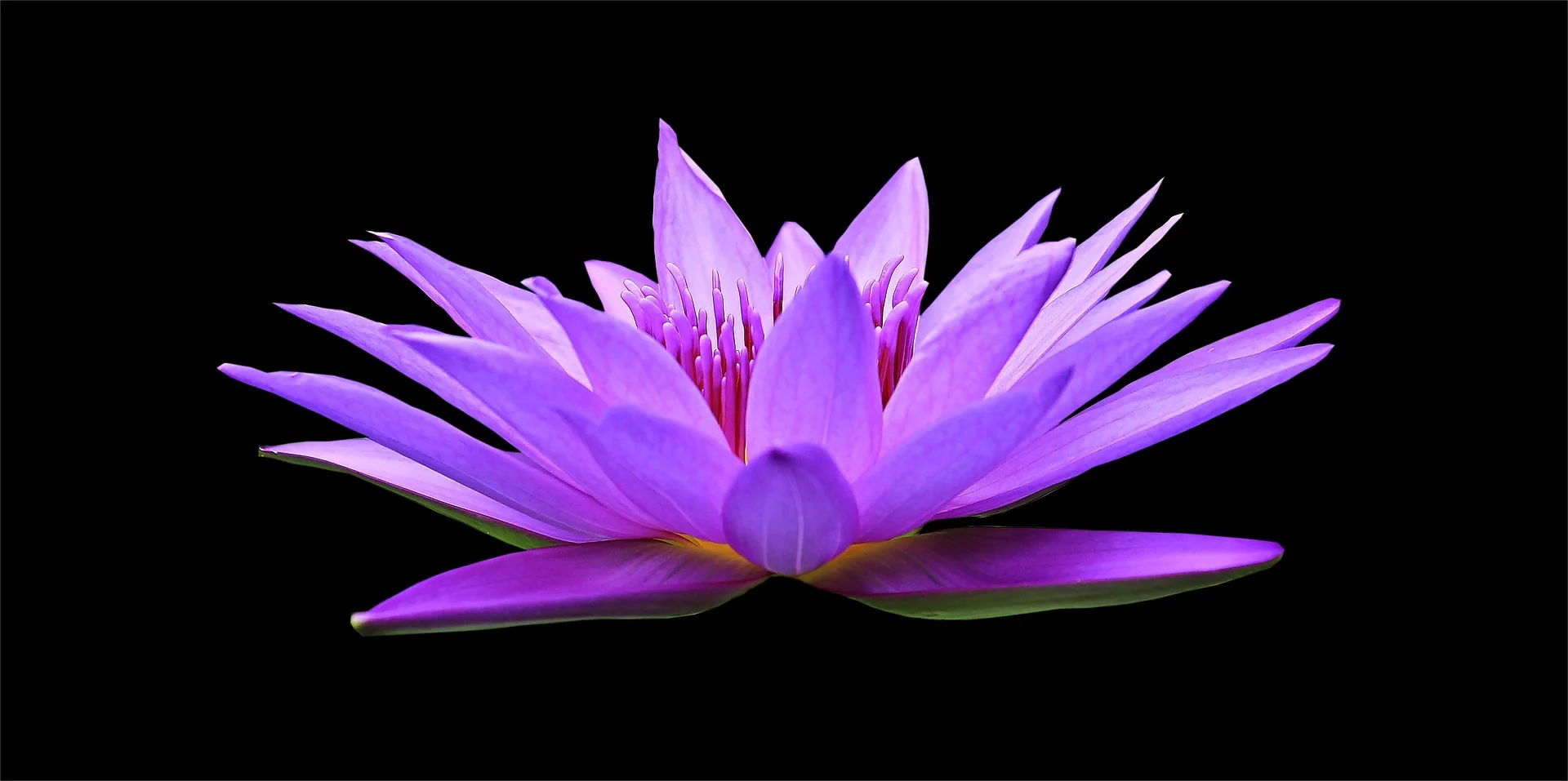 Learning Less in Meditation Teaches You More...