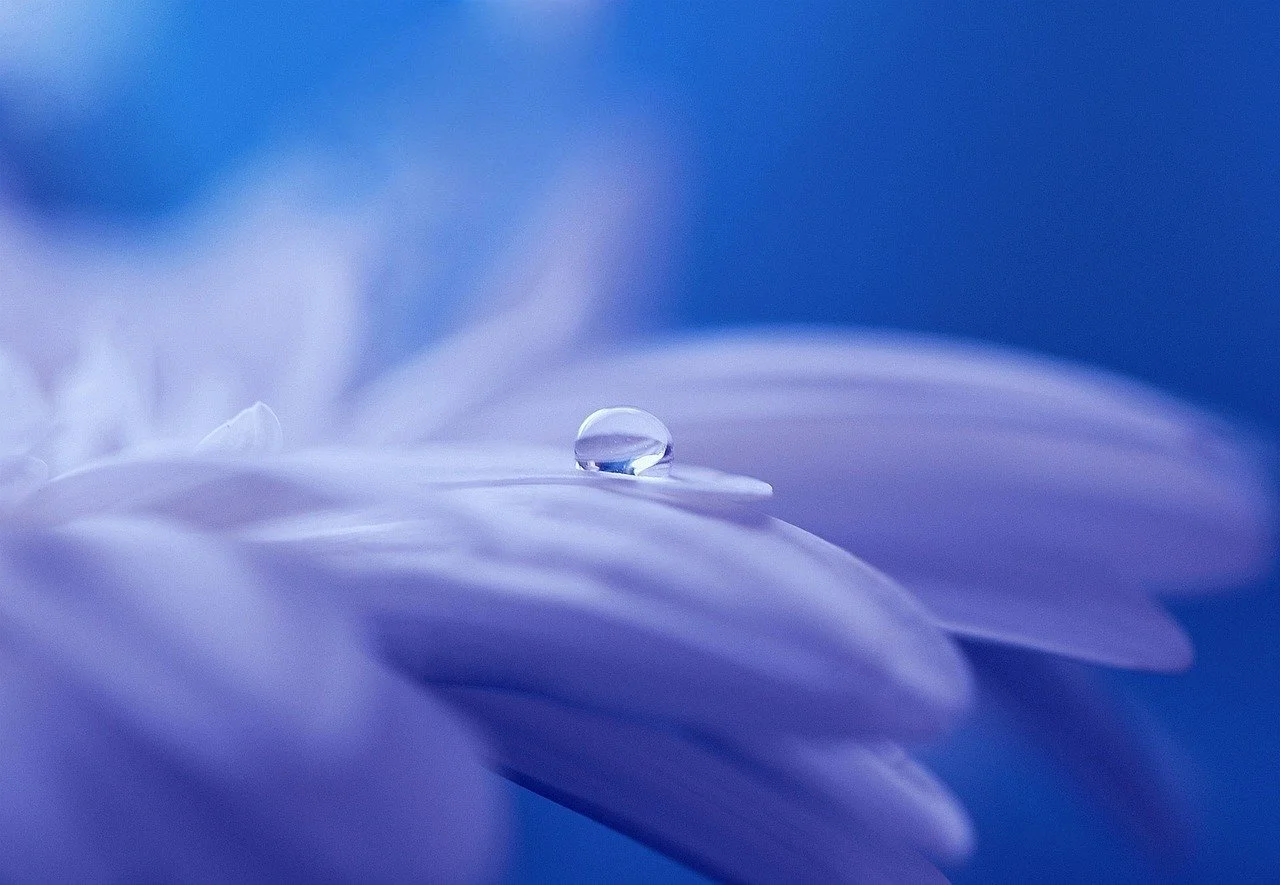 “The Most Poorly Understood Point About Meditation”