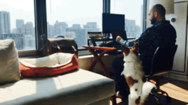 At my writing desk in Chicago..gif