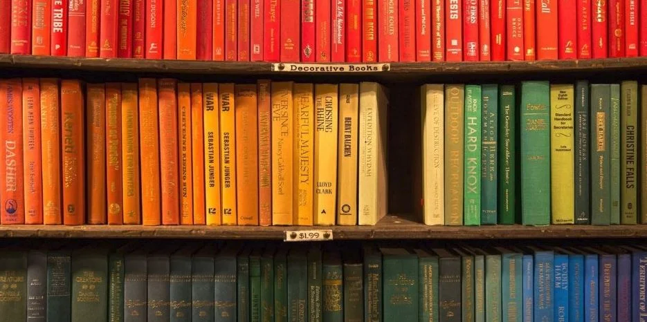 Instagram Stories: How to Use It Like a Pro and Build Your Audience