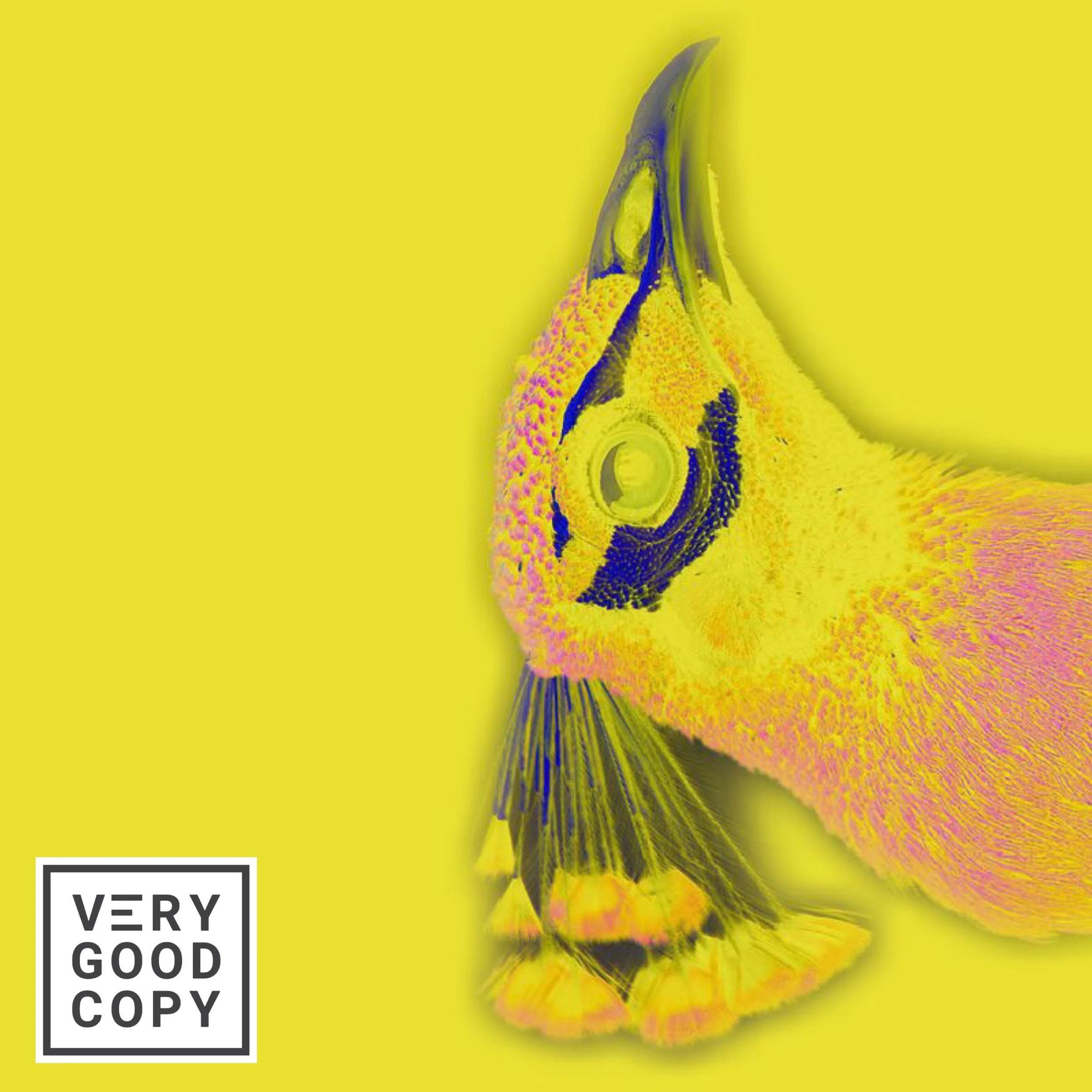 Copywriter, you should be watching and reading these things