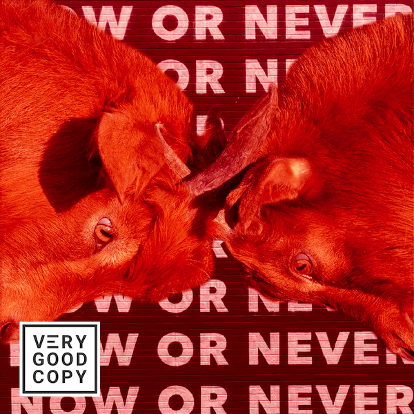 Creativity vs. Productivity