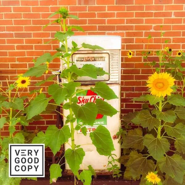 Copywriting &amp; deadlines