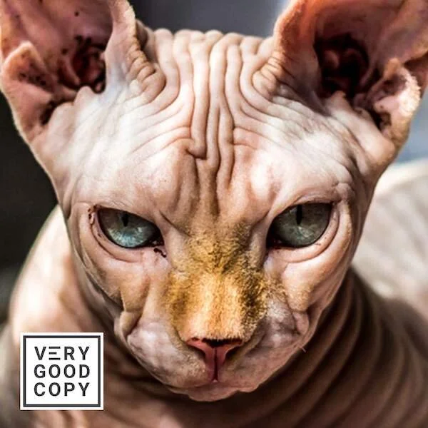 Get anyone’s attention with this proven headline formula: