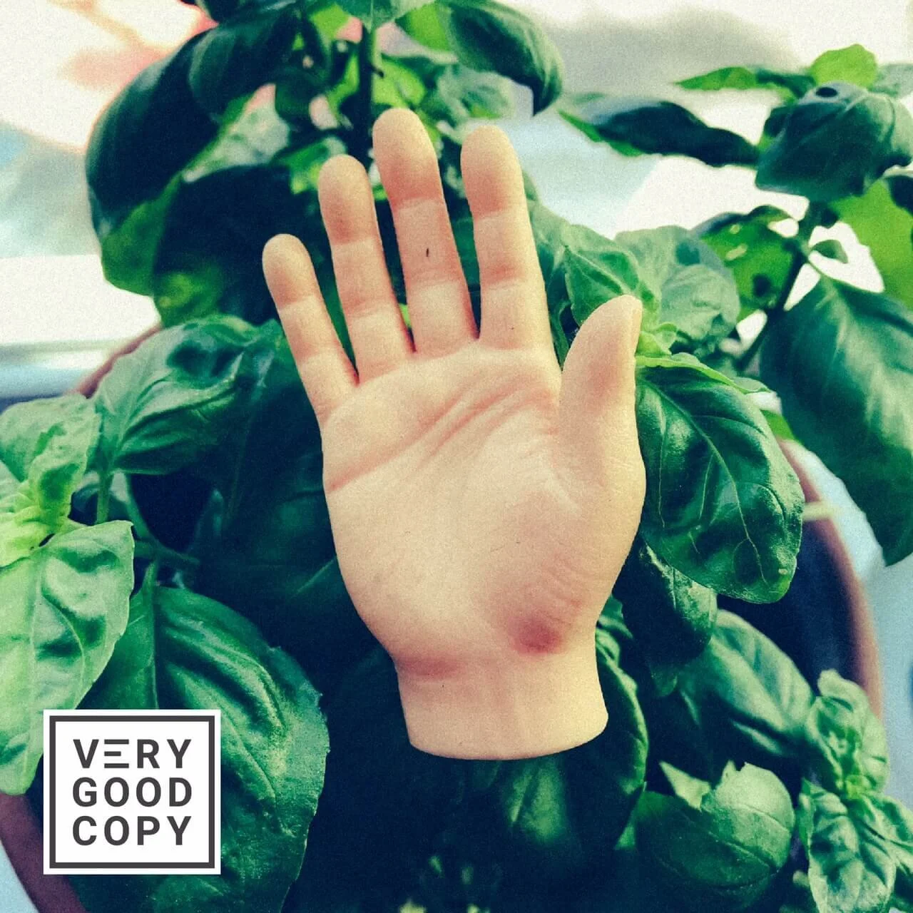 Read if you’re feeling overwhelmed or anxious or fraudulent, etc.